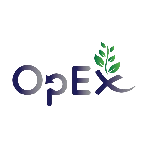 Opex Consultancy